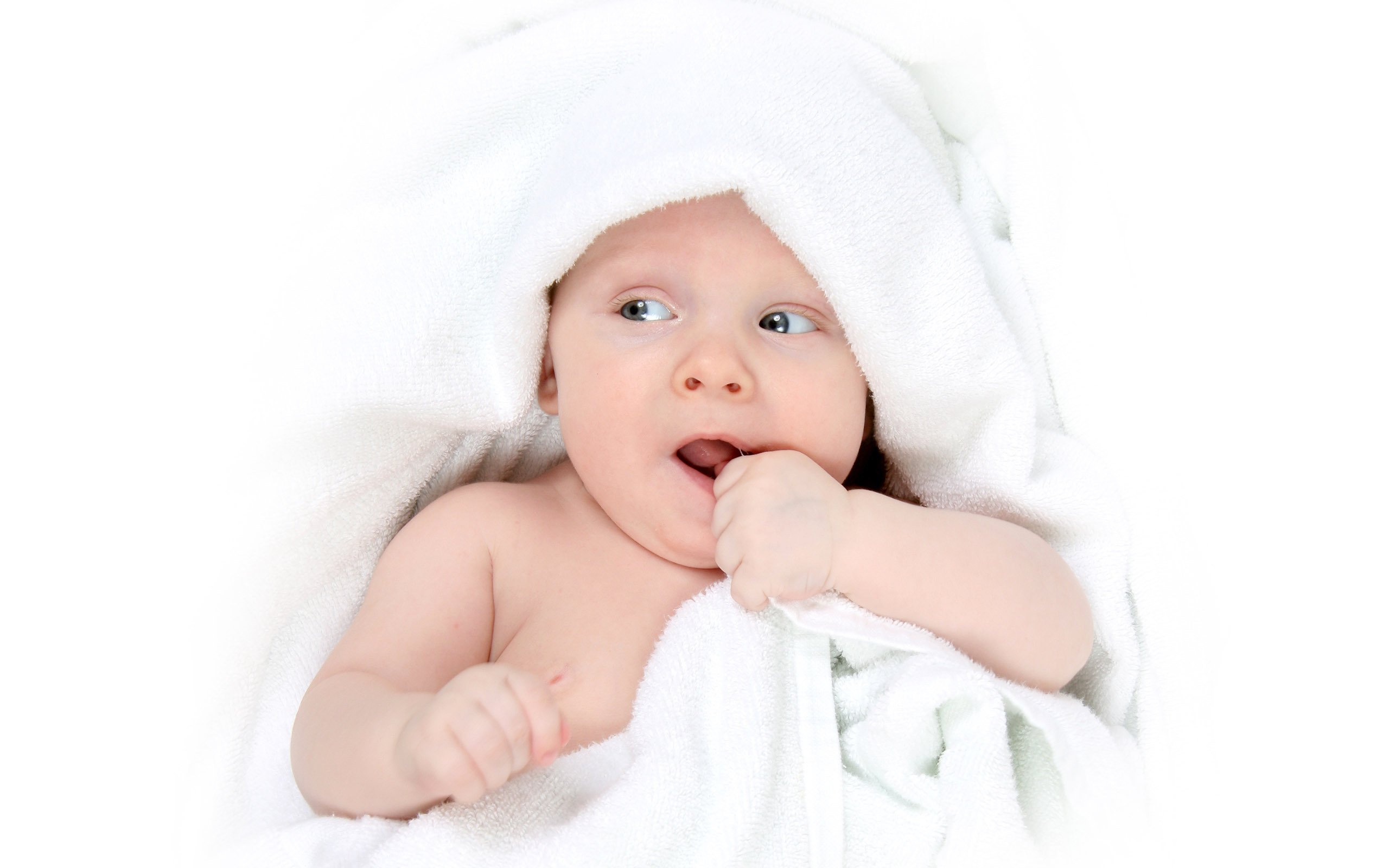 供卵代怀试管婴儿三十岁成功率